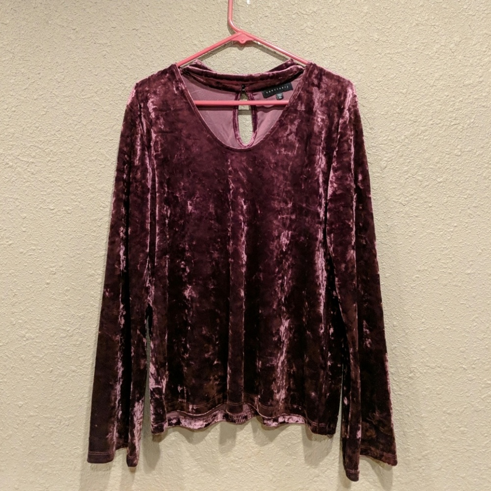 🎉Sale🎉 Sanctuary Velvet wine colored long sleeve